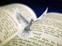 Dove flying above Bible
